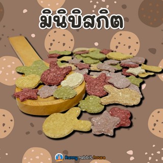 มินิบิสกิตข้าวโอ๊ต ธรรมชาติไม่ปรุงแต่ง ขนมสำหรับสัตว์ฟันแทะ