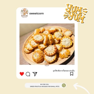 ข้าวโพดอบแห้ง สำหรับหนูแฮมสเตอร์และสัตว์ฟันแทะ By For You🌽| ข้าวโพด100% Organic