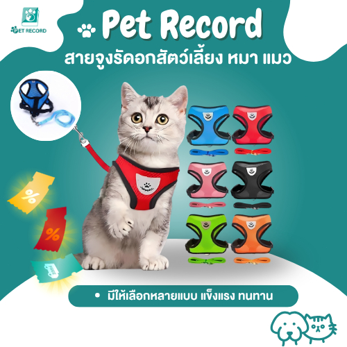 🔥 PET RECORD สายรัดอกสุนัข/แมว 7สี S-XL แถบสะท้อนแสง ระบายอากาศดี ปรับได้ ป้องกันการหลุด