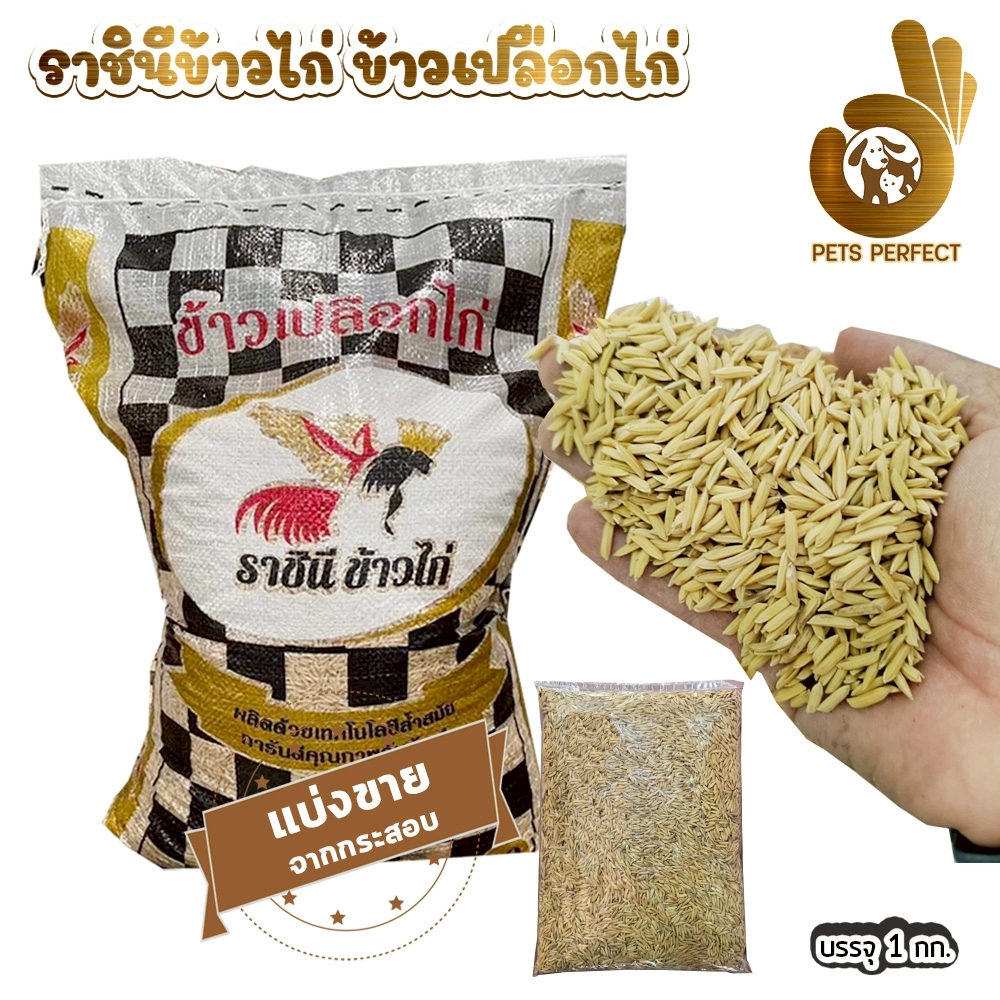 (1kg/5kg.) ข้าวไก่ ข้าวเปลือกไก่เม็ดยาว ตราราชินี ข้าวไก่ ข้าวเปลือกคุณภาพ ไม่มีแกลบไม่มีฟางเศษหิน