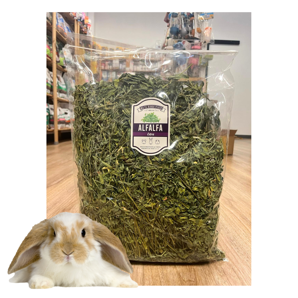 Mayl (มายล) Alfafa Extra Premium​ ​ หญ้าอัลฟาฟ่าพรีเมี่ยม​ สำหรับกระต่าย แกสบี้ ชินชิลล่า ใบเยอะ ขนาด​ 400 g