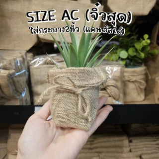 [ แบ่งขาย1ใบ ] พร้อมส่ง มี7ขนาด ถุงกระสอบ “มีก้น” ใส่กระถาง พรอพ ถ่ายรูป ใส่กระถางต้นไม้ ถุงกระสอบใส่ต้นไม้ ถุงกระสอบ
