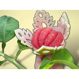 ส้มโอทับทิมสยาม1.5-1.7kg บรรจุ2ลูก(ผิวตำหนิผิวนิ่ม)