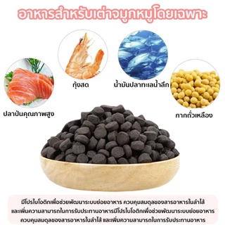 99PET อาหารเต่า อนุภาคขนาดใหญ่ มาซูริ อาหารเต่าน้ำ เต่าญี่ปุ่น ตะพาบ เต่าหมูบิน 320g