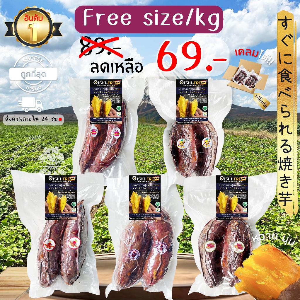 Oishi-Fresh มันหวานญี่ปุ่นแท้ 5 ยี่ห้อเผาพร้อมทาน เนื้อเหลือง หอม หวาน 300 ก.1-2 หัว จัดส่ง 24 ชม.