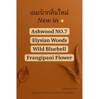 Reed Diffuser 60ml ก้านไม้หอม ก้านไม้หอมปรับอากาศ ก้านน้ำหอม กลิ่นน้ำหอมในบ้าน