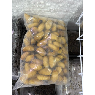 ด้วงสาคู ไซต์ใหญ่ ด้วงมะพร้าว ไม่ปรุงรส สัตว์เลี้ยงกินได้