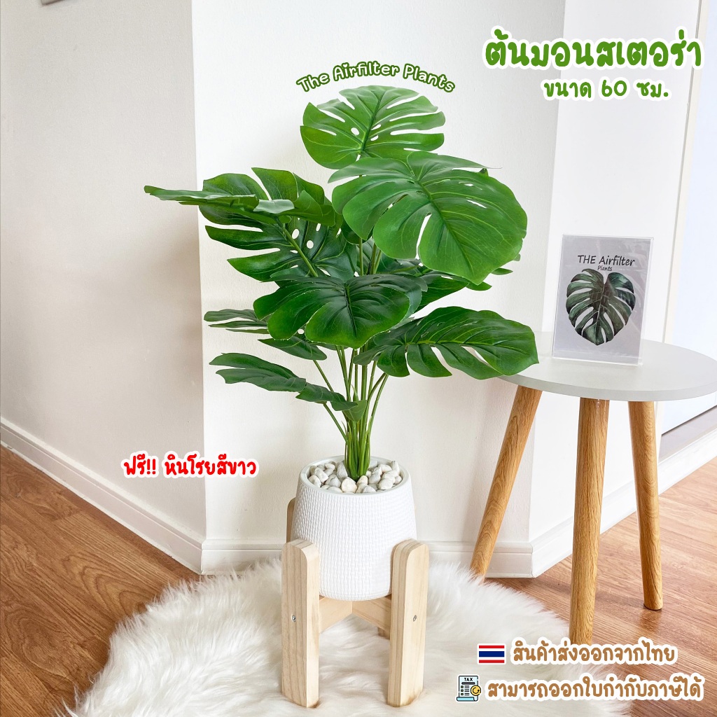 ต้นไม้ปลอม(ฟรี!!หินโรย) ต้นมอนสเตอร่าขนาดสูง60-72ซม. ตั้งหน้าทีวี ตั้งพื้นและหัวเตียง ต้นไม้มงคล พร้อมกระถางและหินสีขาว