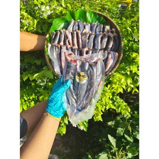 ปลาดุกดุ๊กดิ๊ก ปลาดุกแดดเดียว ไซส์เล็ก ไม่ดองน้ำเกลือ ไม่ใส่…