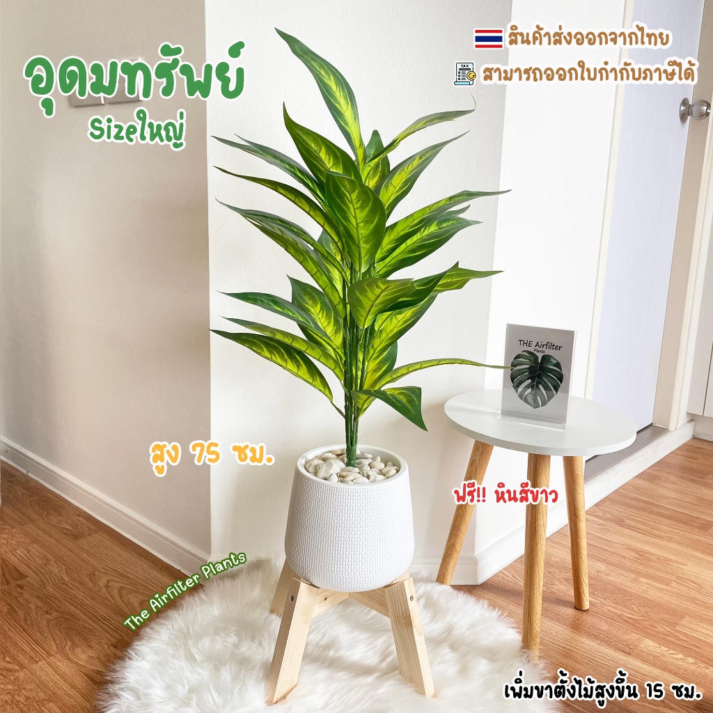 ต้นไม้ปลอมSizeใหญ่(26ใบ)พร้อมกระถาง(ฟรี!!หินโรย) ต้นอุดมทรัพย์สูง75-90ซม. ตั้งบริเวณบ้าน ข้างโซฟา ตั้งหน้าTV ต้นไม้มงคล