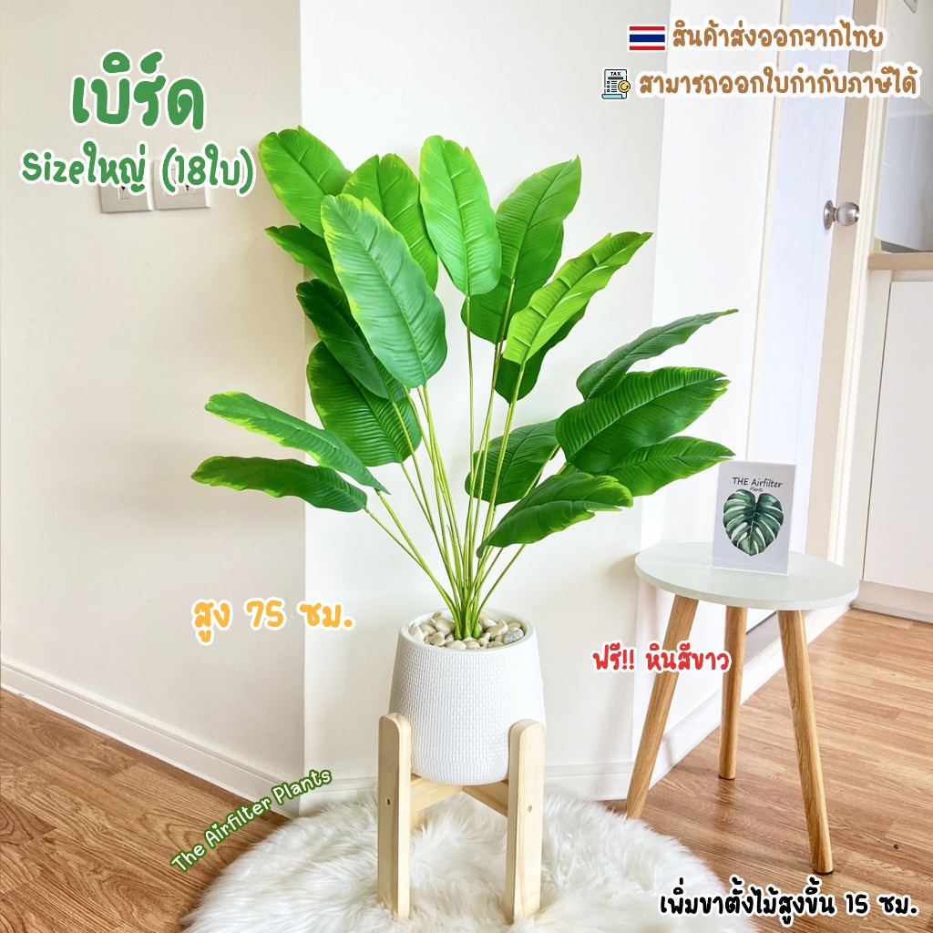 ต้นไม้ปลอมSizeใหญ่(18ใบ)พร้อมกระถาง(ฟรี!!หินโรย) ต้นเบิร์ด75-90ซม. ตั้งบริเวณบ้าน ข้างโซฟา ตั้งหน้าทีวี ต้นไม้มงคล