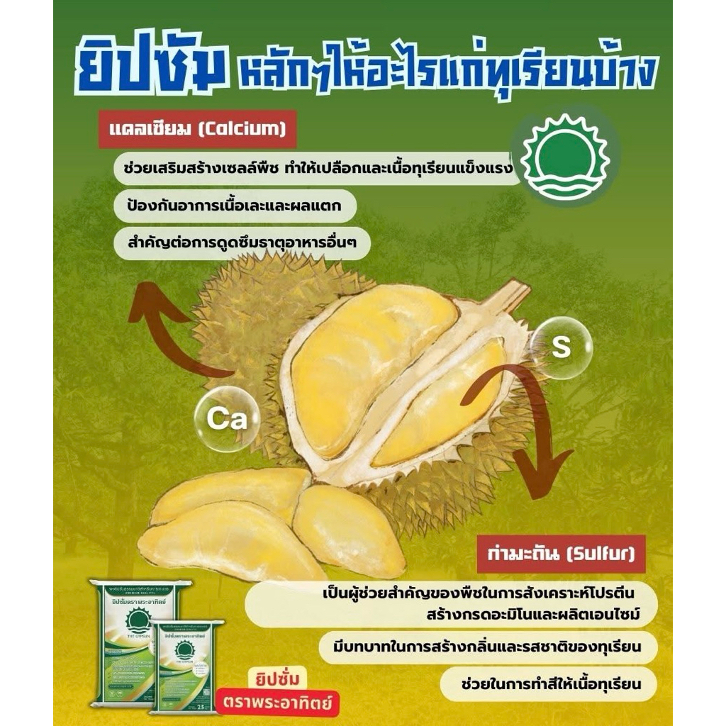 ยิปซั่ม ตราพระอาทิตย์ แบ่งบรรจุ 5 kg - รูปที่ 3