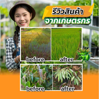 วัคซีนพืชยาคาร่า ขนาด 500 ml ผลมน้ำได้ 1000 ลิตร ป้องกันโรคพืช เชื้อรา ไวรัส แบคทีเรีย แมลง
