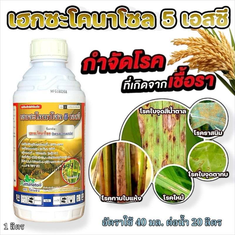 เฮกซะโคนาโซล5เอสซี RT( 1ลิตร) กำจัดโรคพืช กลุ่ม3 ดูดซึม ขจัดราสนิม ใบจุด ราใบไหม้ กาบใบแห้ง แอนแทรคโนส ราแป้ง