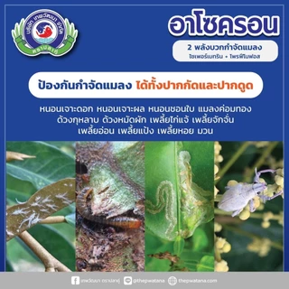อาโซครอน สารป้องกันกำจัดแมลง ขนาด 1 ลิตร