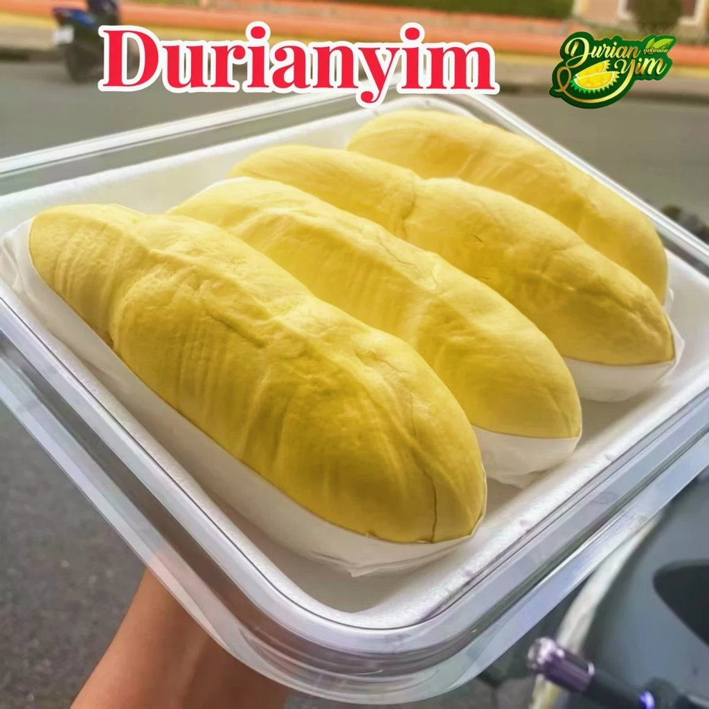 ส่งด่วน1วัน🚚ทุเรียนหมอนทองภูเขาไฟศรีสะเกษแท้ แกะชั่งเนื้อล้วนๆ
