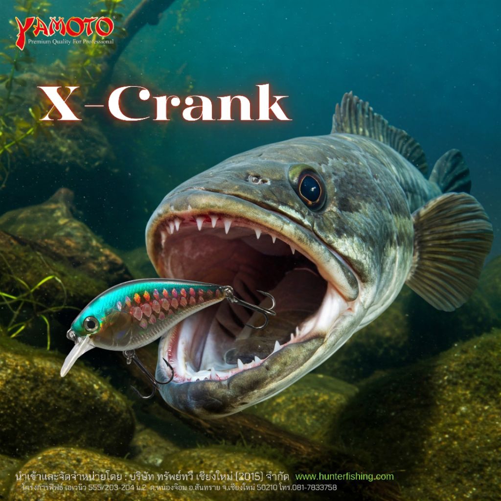 เหยื่อปลอมYamoto X-Crank (ลูกอมปลาช่อน)