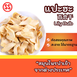 แปะฮะ|百合|Lily Bulb Bai He by SS(Super Spice) เกรดพรีเมียม