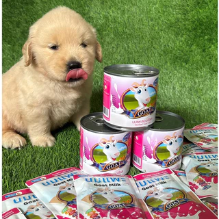 นมแพะ สำหรับลูกสุนัข ลูกแมว ลูกกระต่าย V-Goat Plus 400ml
