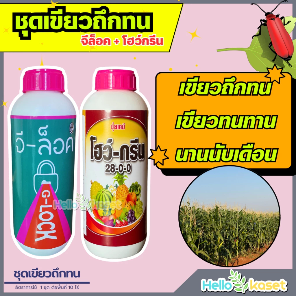 ฮอร์โมน ชุดเขียวถึกทน จีล็อค+โฮว์กรีน ขนาด 1 ลิตร เขียวไว เขียวทน เขียวนาน 1 ชุด ต่อพื้นที่ 10 ไร่
