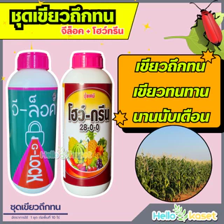 ฮอร์โมน ชุดเขียวถึกทน จีล็อค+โฮว์กรีน ขนาด 1 ลิตร เขียวไว เขียวทน เขียวนาน 1 ชุด ต่อพื้นที่ 10 ไร่