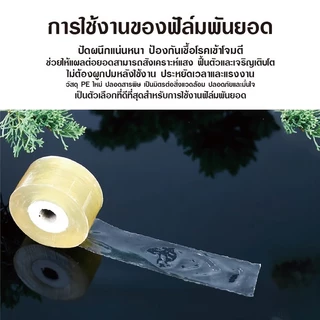 เทปพันกิ่งไม้ 200m เทปพันกิ่งทาบ หน้ากว้าง 3,5,10 ซม. แลปพลาสติก อุปกรณ์ตอนกิ่ง เทปพันกิ่งเสียบยอด ฟิล์มพันของ
