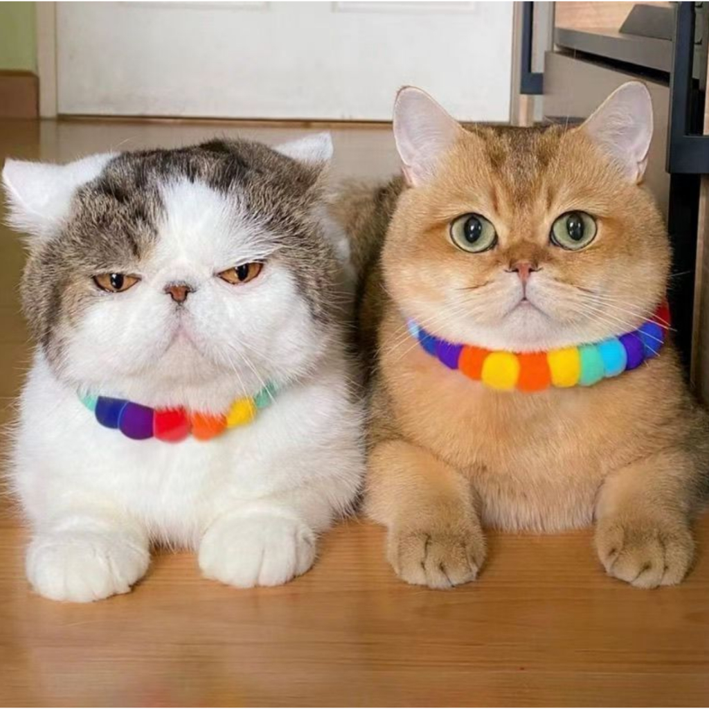 MG-219 ปลอกคอปอมปอมสุดน่ารัก สำหรับแมว กระต่าย และสัตว์เลี้ยงตัวเล็ก ผลิตจากยางยืด นุ่ม ใส่สบาย ไม่รัดแน่น