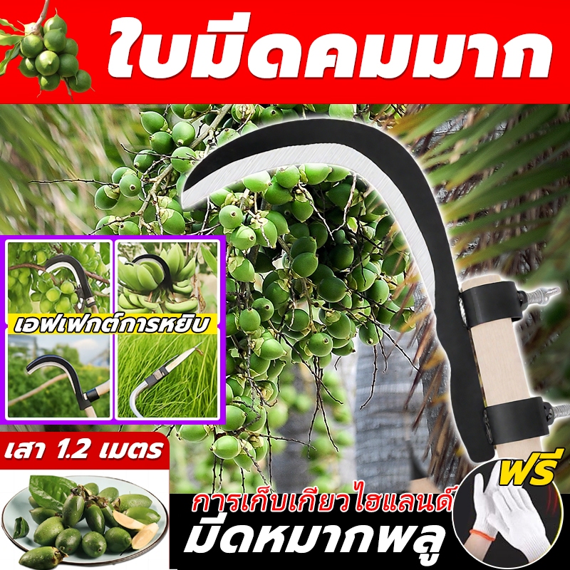 มีดตัดหมาก มีดตัดหญ้า เคียวตัดแต่งกิ่ง วัสดุเหล็กแมงกานีส ปรับความยาวได้ เหมาะสำหรับเก็บผลไม้ในที่สูง ไม่ต้องปีนป่าย