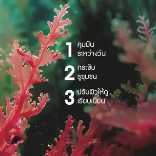 อีฟ โรเช Yves Rocher Sebo Active Clear Zero Blemish Gel Cream 50ml เจลครีมดูแลผิวเป็นสิว - บำรุงผิว คุมมัน กระชับรุขุมขน