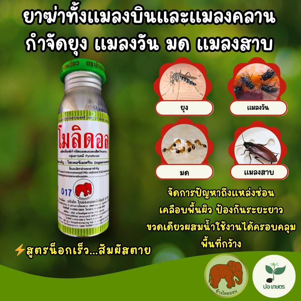 โมลิดอล (100 ซีซี) [ไซเพอร์เมทริน] สูตรน็อกเร็ว ยาฆ่าทั้งแมลงบินและแมลงคลาน กำจัดยุง แมลงวัน มด แมลงสาบ
