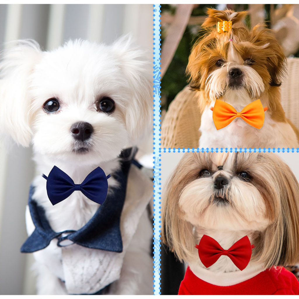 MG-317 ปลอกคอโบว์สำหรับสัตว์เลี้ยง ปลอกคอหมาน่ารัก คุณภาพดี ราคาถูก พร้อมส่งค่ะ 🐶🎀