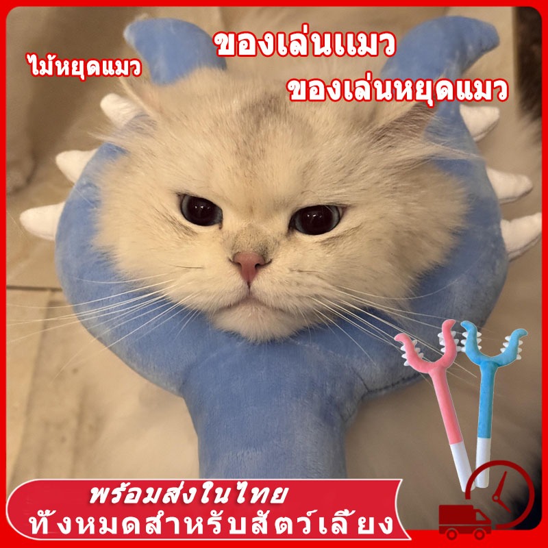 ของเล่นตลก ของเล่นเเมว ของเล่นหยุดแมว การเล่นแบบโต้ตอบ เสริมสร้างความผูกพัน