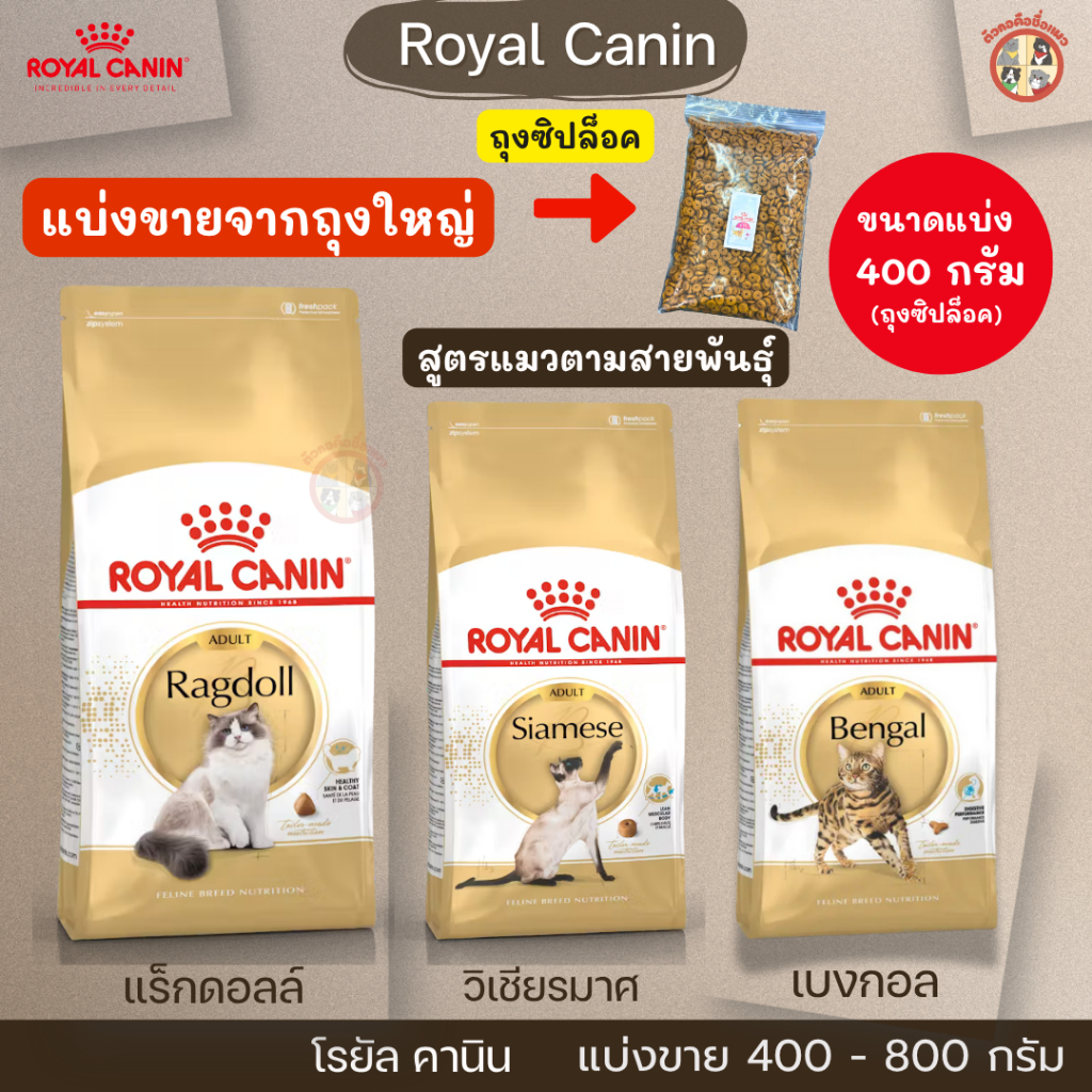 [แบ่งขาย] Royal Canin อาหารเม็ดแมวโตพันธุ์แร็กดอลล์ วิเชียรมาศ เปอร์เซีย เบงกอล(Ragdoll ,Siamese  ฺ,Bengal) โรยัล คานิน