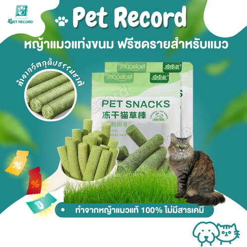 Pet Record แช่แข็ง หญ้าแมวแท่ง ขนมฟรีซดรายสําหรับแมว ขนมกระดูกขัดฟัน ขนมขัดฟันลดกลิ่นปาก
