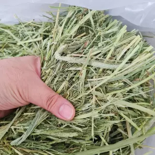 Brunchies ทิมโมธีเกรดม้าพรีเมียมแบบปึก (3/5kg) ไม่ร่อนฝุ่น คัดเขียวหอม สะอาด หญ้ากระต่าย