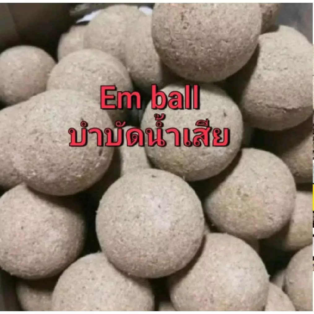 em ball คัดพิเศษ ส่งด่วน ชุด100 ลูก บำบัดนํ้้าเสีย