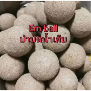 em ball คัดพิเศษ ส่งด่วน ชุด100 ลูก บำบัดนํ้้าเสีย
