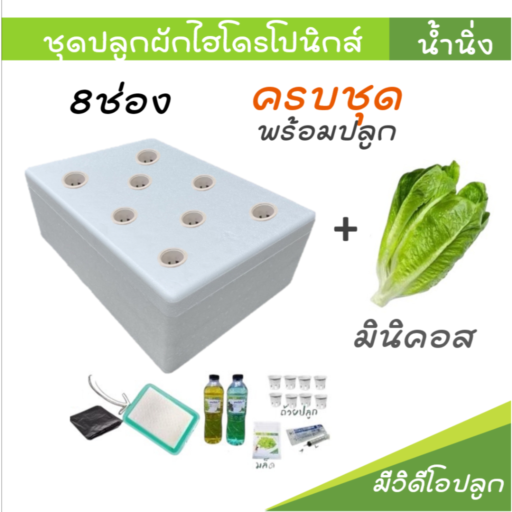 [ครบชุด]ชุดกล่องปลูกผัก ไฮโดรโปนิกส์ รุ่น8ช่อง เมล็ดมินิคอส กล่องโฟม ปลูกผักไฮโดรโปนิกส์ hydroponic