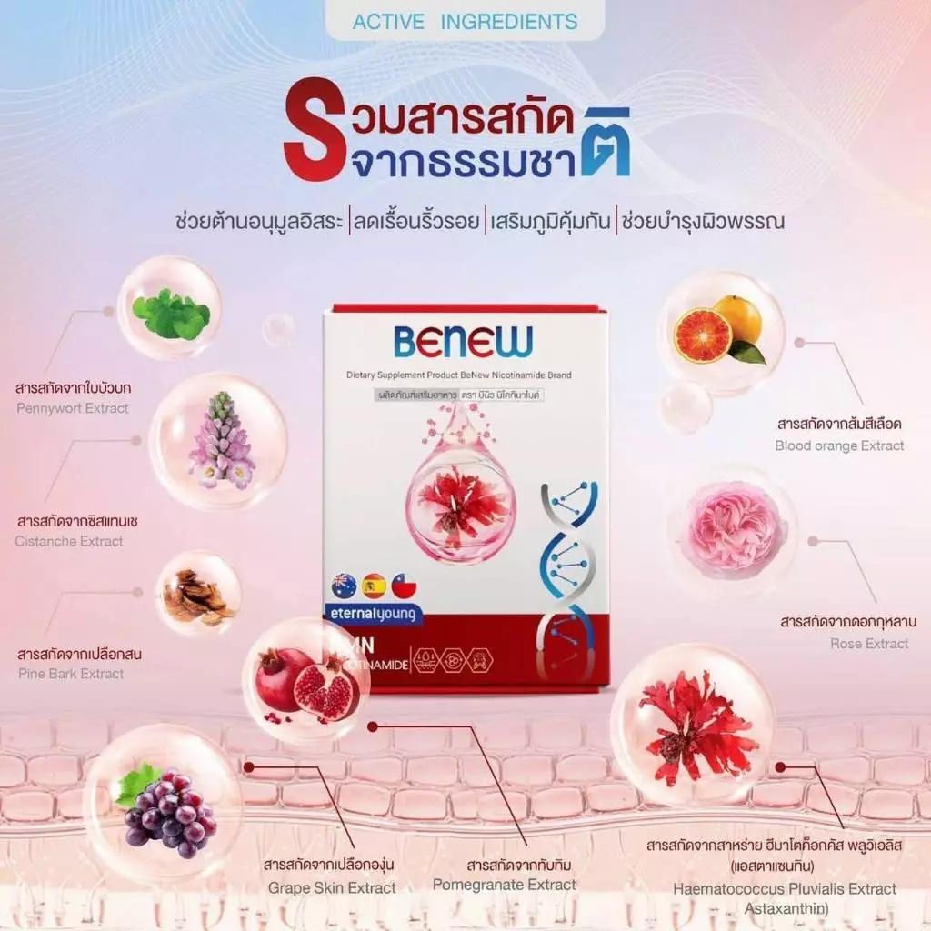 BeNew NMN Nicotinamide วิตามินต้านแก่ thumbnail 9