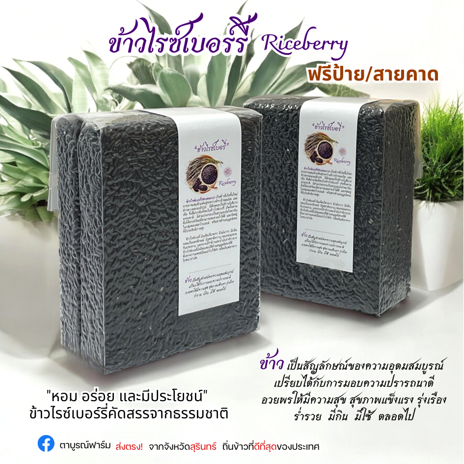 ข้าวไรซ์เบอร์รี่ 1 กิโลกรัม จำนวน 6 ถุง ฟรีป้าย ของชำร่วย งานแต่ง งานบวช งานศพราคาส่ง