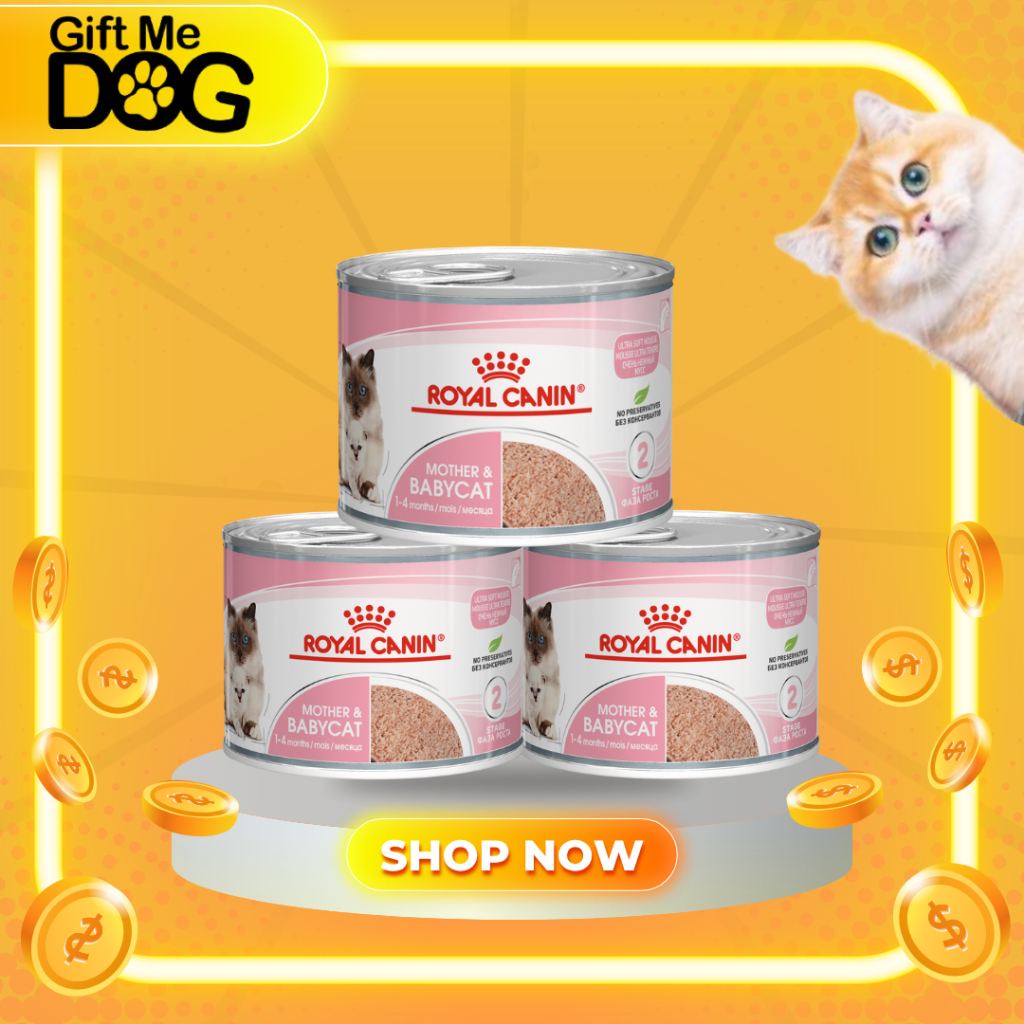 ROYAL CANIN MOTHER&BABYCAT CAN 195g×12 กระป๋อง อาหารเปียกสำหรับแม่แมวและลูกแมว