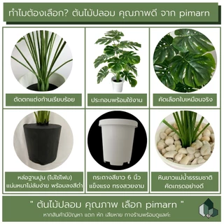 ☘ซื้อ1แถม3☘XT ต้นไม้ปลอม ต้นไม้ปลอมใหญ่ ความจำลอง 99.9% ต้นไม้แต่งบ้าน 46/80/95cm กระถาง+แถมฟรีหิน