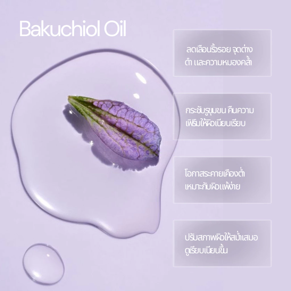 Erb Lavender Lush Body Oil 230ml. ดรายออยล์บำรุงผิวกายกลิ่นลาเวนเดอร์ สูตร Overnight Repair thumbnail 6