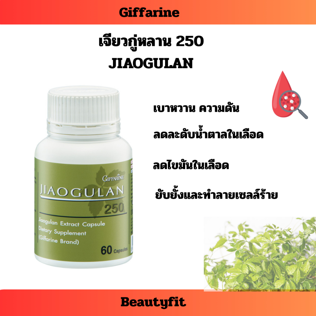 เจียวกู่หลาน กิฟฟารีน ลดระดับน้ำตาล เบาหวาน ลดไขมันในเลือด บำรุงตับให้แข็งแรง  60 แคปซูล