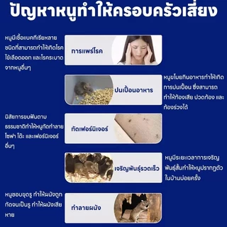 🐭แค่วาง หนูก็หายไป🏠 เจลไล่หนู ไล่หนู กำจัดหนู ยาไล่หนู 150g ใช้งานง่าย ไล่หนูตลอด 24 ชั่วโมง ผลิตจากธรรมชาติ ปลอดภัย