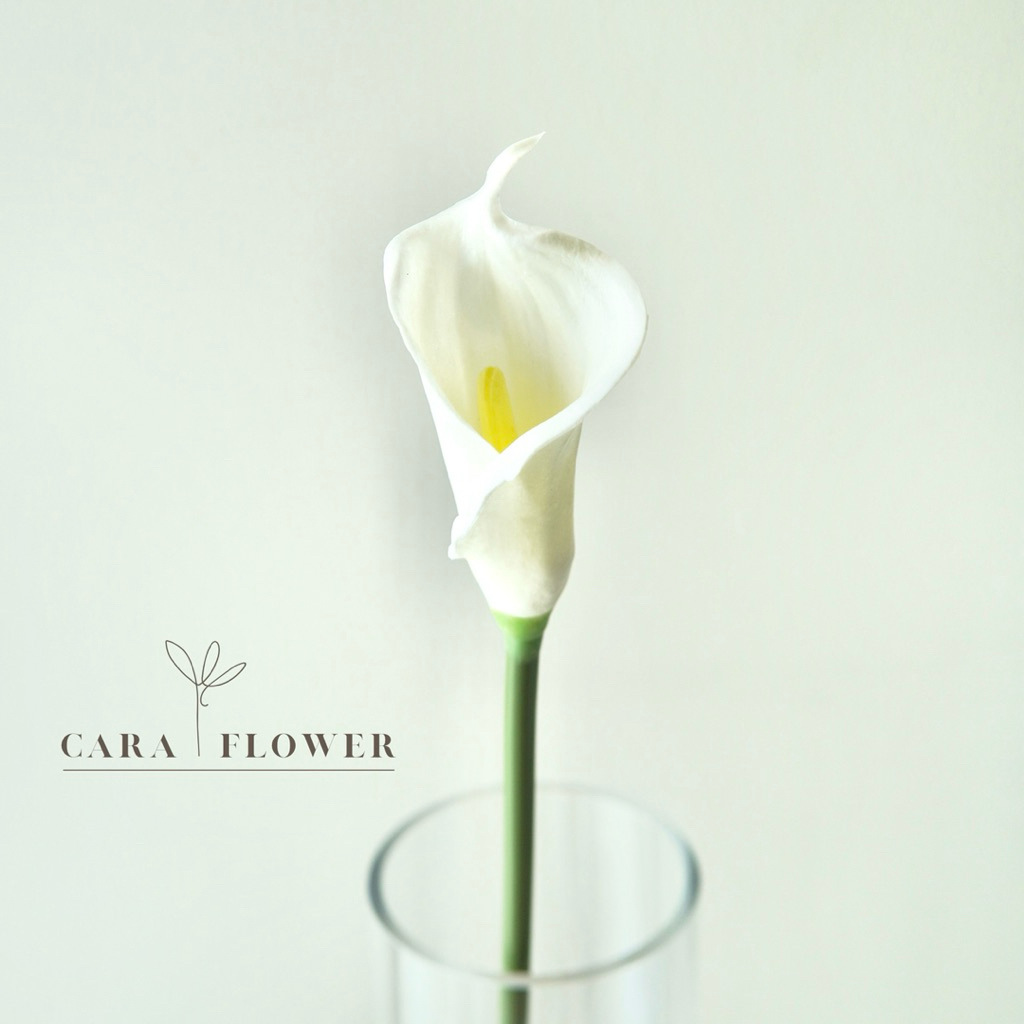 Calla lily | ดอกคาลล่าลิลลี่ปลอม ดอกไม้ประดิษฐ์ ดอกไม้ปลอม ไว้ตกแต่งบ้าน (C14)[พร้อมส่ง]