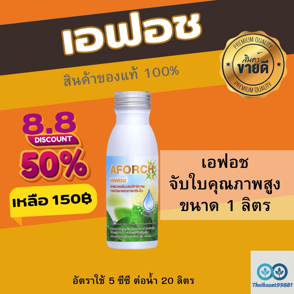 🔥 เอฟอช 100ซีซี เป็นสารจับใบคุณภาพสูงใช้ใด้กับทุกพืช เช่น พืชสวน พืชไร่ ในนาข้าว เอฟอส เอฟอท