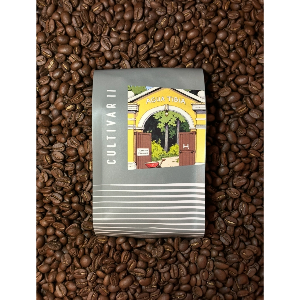 Guatemala, Agua Tibia, CentroAmericano [Filter] กาแฟคั่วอ่อน