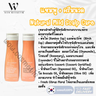 [พร้อมส่ง] Daeng Gi Meo Ri Look At Hair Loss Minticcino / True Hair and Scalp Shampoo Treatment 500ml แทงกีโมรี แชมพู