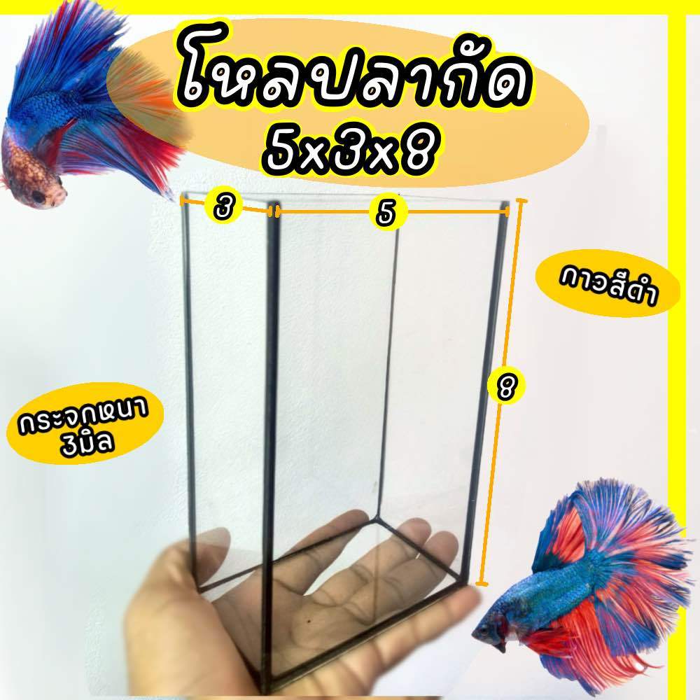 โหลปลากัด 5x3x8 นิ้ว ตู้ปลากัด ทรงสูง 1 ใบ มีประกัน